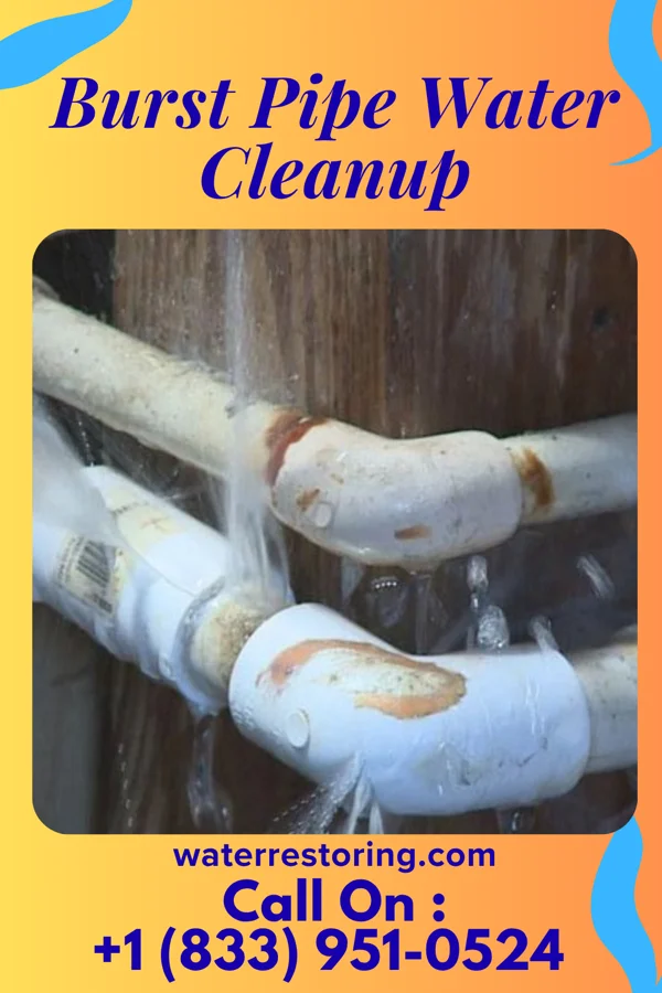 Burst Pipe Water Cleanup in Marionville, MO