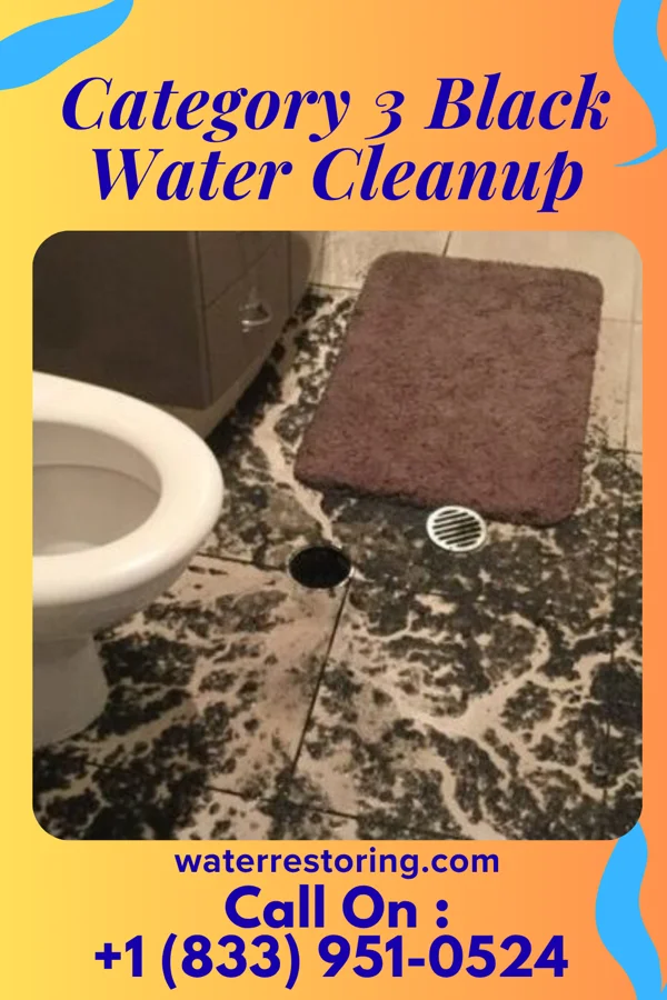 Category 3 Black Water Cleanup in Marionville, MO