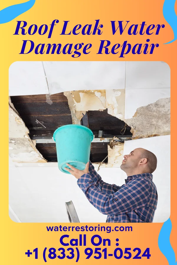 Roof Leak Water Damage Repair in Marionville, MO