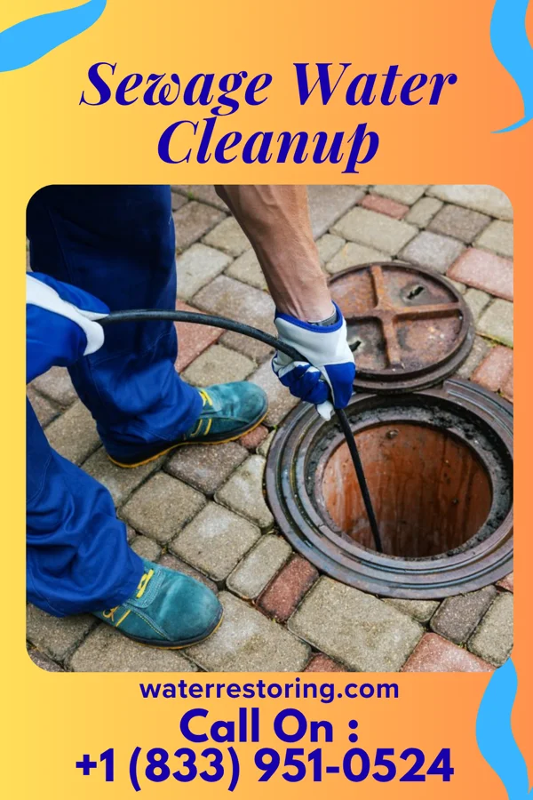 Sewage Water Cleanup in Marionville, MO